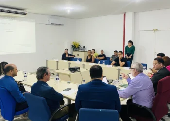 Vogais da Jucetins reunidos para discutir investimentos em tecnologia e inovação no ambiente empresarial - Foto: Itiane Pereira/Governo do Tocantins