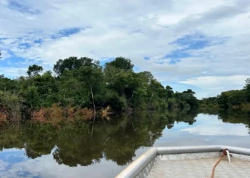 Gestão eficiente dos recursos hídricos é essencial para garantir a sustentabilidade ambiental e econômica da Bacia do Rio Formoso
