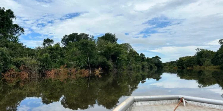 Naturatins conclui plano preliminar de revezamento das captações para gestão sustentável da água na Bacia do Rio Formoso