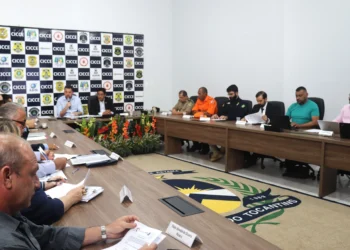 Membros do Conselho de Segurança Pública do Tocantins ajustam calendário para revisar regimento interno 