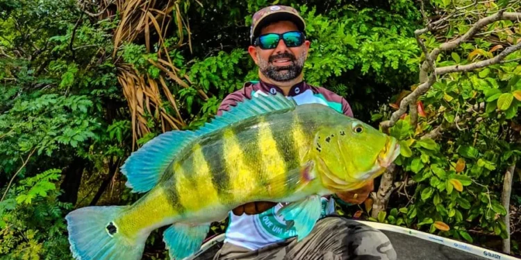 Jeová Lima, com um belo exemplar de tucunaré pescado no lago de Palmas, trocou a pesca predatória pelo esporte

Foto: Arquivo Pessoal