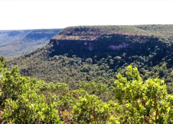 A Cevat será formada por representantes de diversas secretarias estaduais, entidades de classe e sociedade civil - Foto: Foto Marcel de Paula/Governo do Tocantins