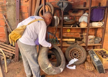 Força-tarefa de limpeza para reduzir casos de arboviroses será realizada em Palmas