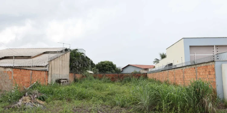 Proprietários serão notificados para limpeza e manutenção de terrenos e calçadas