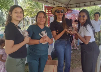 Meriele Oliveira recebe da enfermeira Suyane Dias Gomes e sua filha, a doação de quatro filhotes felinos para Feira _Foto: Cleide Veloso