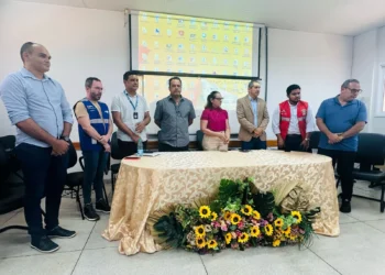 SES-TO capacita municípios impactados com queda de ponte entre Tocantins e Maranhão