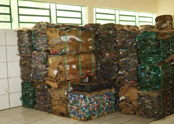 Projetos de economia circular da EDP coletam 119 toneladas de resíduos e geram R$ 124 mil em renda para Lajeado