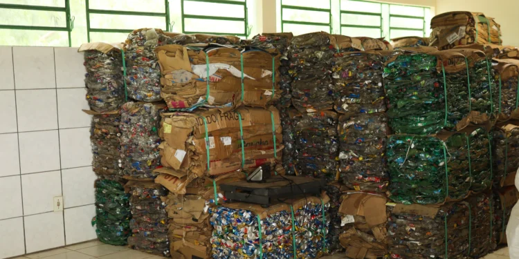 Projetos de economia circular da EDP coletam 119 toneladas de resíduos e geram R$ 124 mil em renda para Lajeado