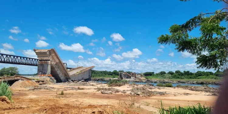 Sebrae isenta taxas de crédito para os pequenos negócios afetados pela queda da ponte