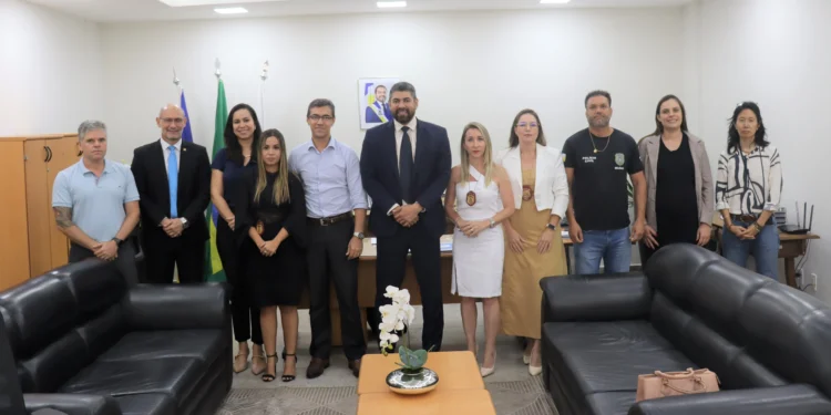 O encontro teve por objetivo debater estratégias para a criação de uma Diretoria Estadual Especializada a fim de padronizar o Atendimento à Mulher e Vulneráveis - Rogério de Oliveira/Governo do Tocantins
