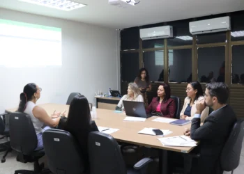 Reunião tratou do planejamento dos recursos destinados ao enfrentamento da violência contra a mulher no Estado - Vania Machado / Governo do Tocantins