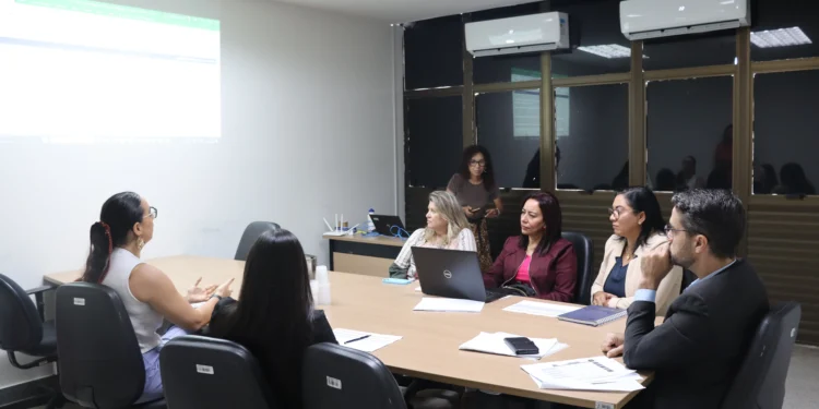 SSP/TO e Secretaria da Mulher debatem planejamento de recursos para enfrentamento da violência contra a mulher