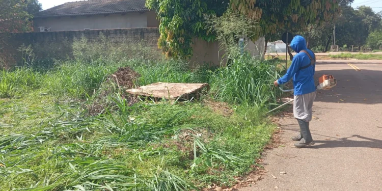 Jardim Taquari recebe reforço na limpeza, roçagem, manutenção e paisagismo