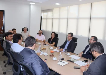 Encontro debateu a importância do alinhamento de dados relacionados à execução dos recursos do Fundo de Segurança - Vania Machado/Governo do Tocantins