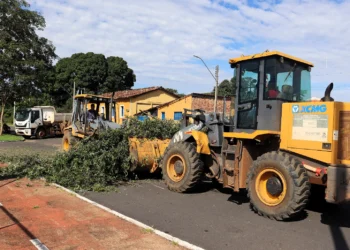 Foto: Edvaldo Xerente