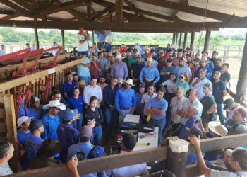 Representantes do Tocantins durante evento de sistema de rastreabilidade no Pará - Fotos - Divulgação / Adapec