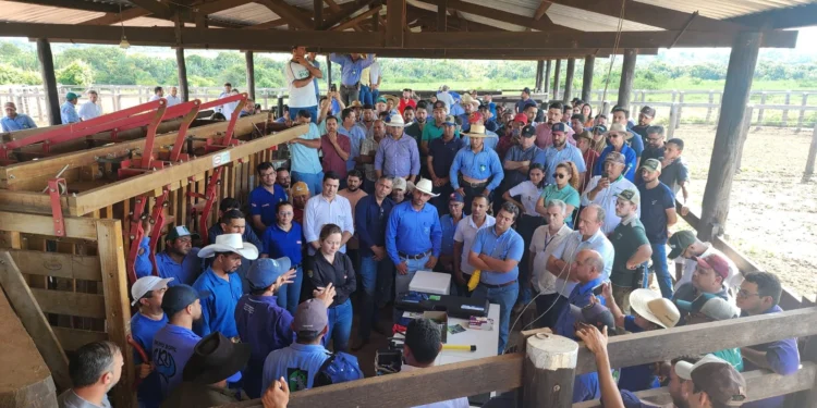 Adapec participa de evento sobre sistema de rastreabilidade bovina no Pará