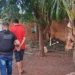 Homem foi localizado e preso pelas equipes da 1ª DHPP de Palmas
Crédito -Foto - Polícia Civil do Tocantins