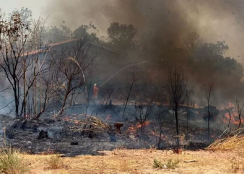 Relatório aponta para um aumento de 88% no número de focos de queimadas, que passaram de 26 na semana anterior (06 a 12 de março) para 49 ocorrências distribuídas por 27 municípios.Divujgação Governo do Tocantins