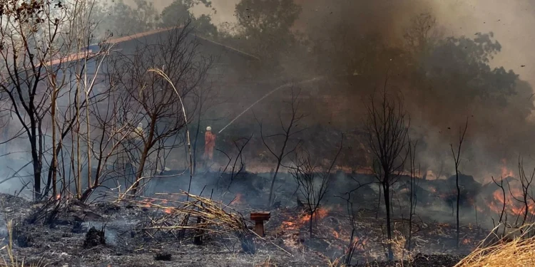 Aumento nos focos de queimadas no Tocantins é registrado no 28º Boletim Climático e Riscos de Incêndio