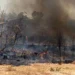 Aumento nos focos de queimadas no Tocantins é registrado no 28º Boletim Climático e Riscos de Incêndio