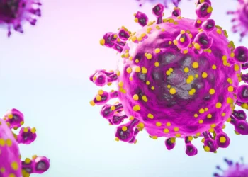 O aumento das temperaturas relacionado às mudanças climáticas permite o espalhamento de mosquitos transmissores de doenças infecciosas, como a dengue
crédito: Getty Images