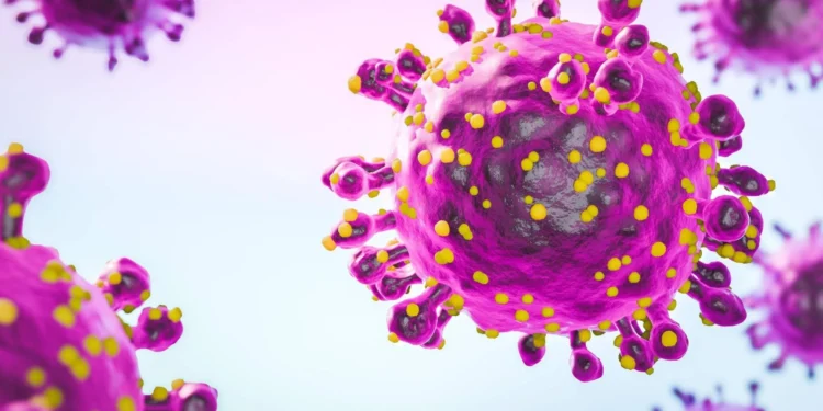 A lista do Reino Unido com chikungunya, oropouche e outras ‘ameaças à saúde pública’