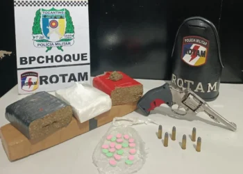 Material apreendido. - Foto: Ascom ROTAM