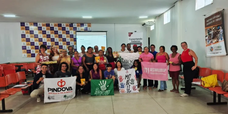 Projeto lança aplicativo para gestão da produção de quebradeiras de coco babaçu no Bico do Papagaio