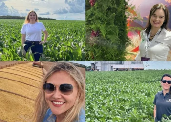 Fotos: Arquivo pessoal.