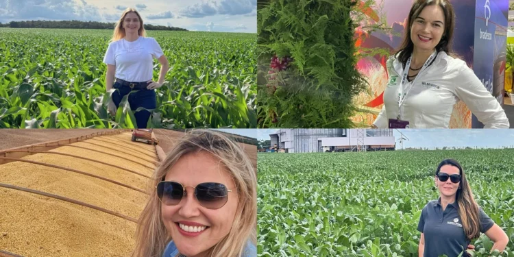 Fotos: Arquivo pessoal.