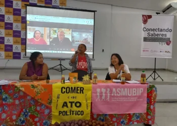 Projeto que visa o fortalecimento da gestão da produção extrativista do coco babaçu é lançado no Bico do Papagaio