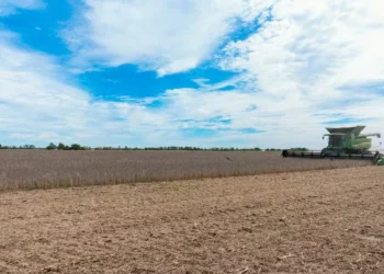 Produtores de milho em Illinois temem pelos custos de produção e mercados consumidores — Foto: USDA/NRCS/Brandon O’Connor