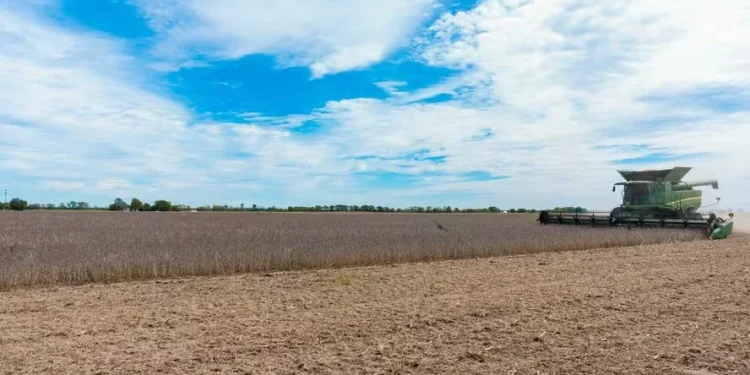 Produtores e empresas americanas temem consequências da “guerra tarifária”