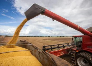 Agropecuária foi o único setor do PIB que registrou baixa no ano passado — Foto: Wenderson Araujo/CNA