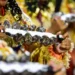 Carnaval: mulheres ritmistas enfrentam preconceito como principal desafio