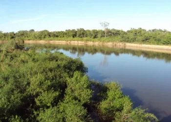 As Deliberações das Comissões Eleitorais dos Comitês do Lago de Palmas e do Rio Formoso trazem as respectivas listas, bem como os calendários de realização das Assembleias Setoriais das entidades_Divulgação