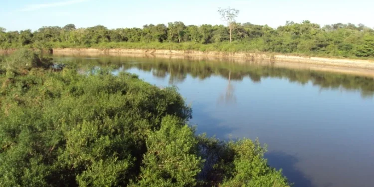 As Deliberações das Comissões Eleitorais dos Comitês do Lago de Palmas e do Rio Formoso trazem as respectivas listas, bem como os calendários de realização das Assembleias Setoriais das entidades_Divulgação