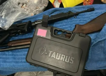 Trocar imagemTrocar imagem Criminoso foi localizado no Parque São Bento, na zona norte da cidade • Divulgação/ Polícia Civil Trocar imagemTrocar imagem2 de 3 Criminoso foi localizado no Parque São Bento, na zona norte da cidade • Divulgação/ Polícia Civil