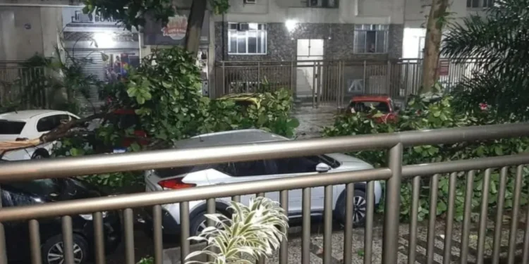 Temporal no Rio causa alagamentos e quedas de árvores e estruturas