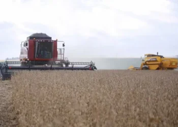 Colheita de lavoura de soja no Paraná. Safra do grão deve passar de 167 milhões de toneladas — Foto: Gilson Abreu/AEN