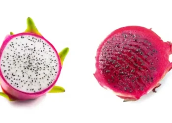 A pitaya tem se popularizado no Brasil — Foto: Globo Rural