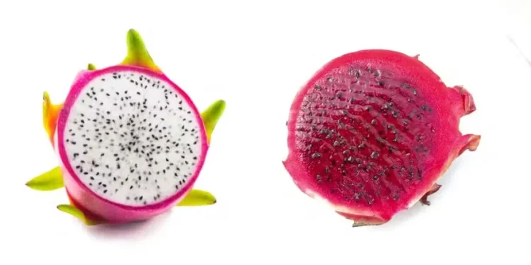 Pitaya branca ou vermelha? Entenda a diferença entre elas