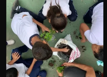 Estudantes do 4º ano participaram do projeto • Instagram/Eco-Parque Escola Philó