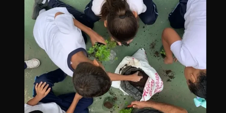 Estudantes do 4º ano participaram do projeto • Instagram/Eco-Parque Escola Philó
