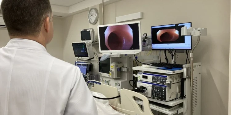 A colonoscopia permite a detecção e a remoção de lesões pré-malignas que podem evoluir para câncer
crédito: Gabrielle Cordeiro