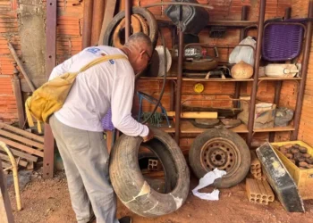Força-tarefa vai combater o mosquito Aedes aegypti — Foto: Luciana Pires/Secom Palmas