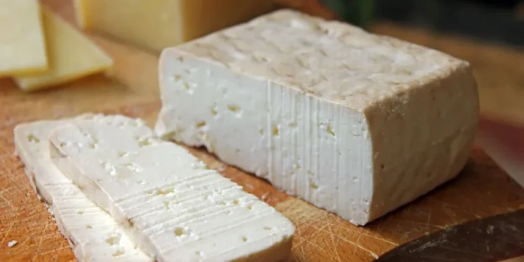 Gripe aviária: vírus sobrevive em queijo de leite cru por meses, diz estudo