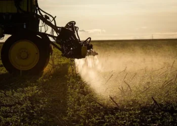 No quarto trimestre de 2024, havia 45 companhias do segmento nessa situação, alta de 80% em relação a igual período um ano antes — Foto: Wenderson Araujo/CNA