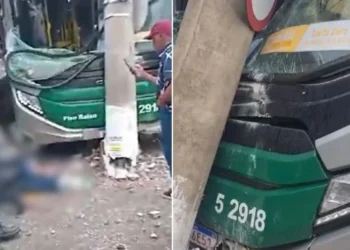 Veículo parou apenas quando colidiu com um poste na via pública • Reprodução/ Diário do Transporte